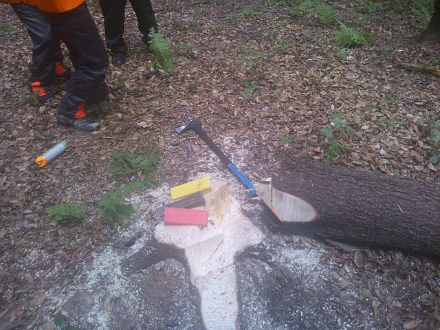 „Czas na aktywność w gminie Cisna” - Pilarz