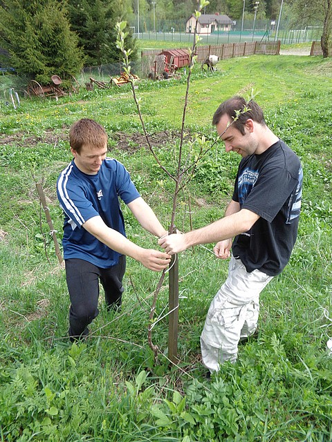 Utrzymywanie terenów zielonych