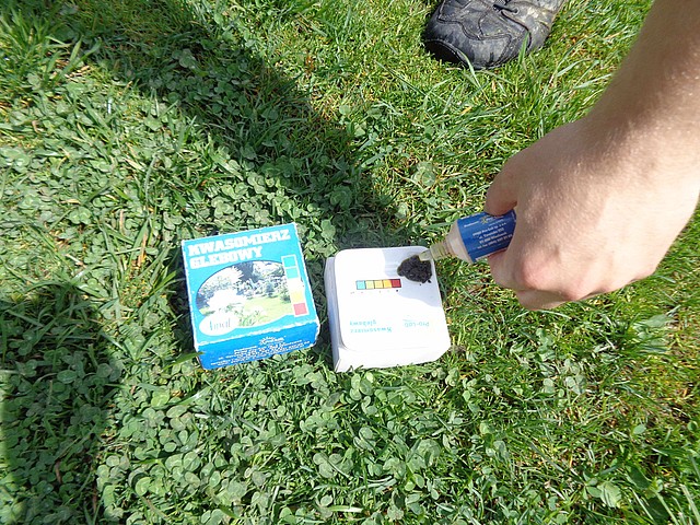 Utrzymywanie terenów zielonych