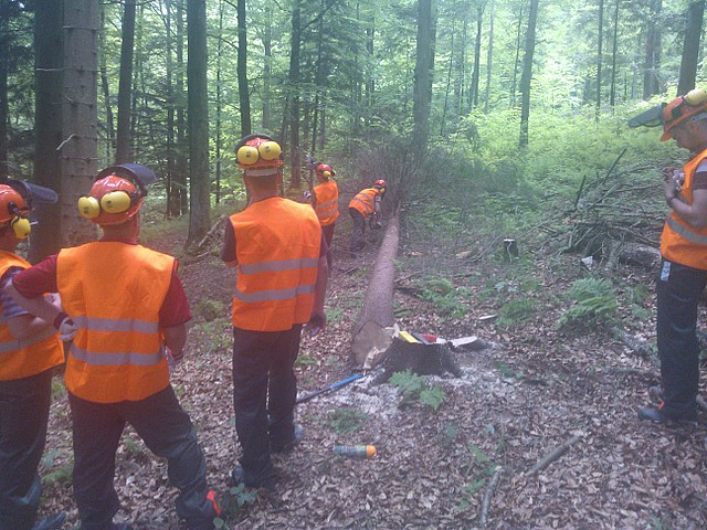 „Czas na aktywność w gminie Cisna” - Pilarz